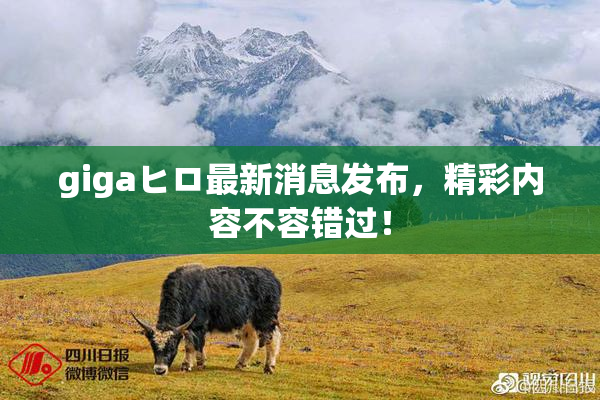 gigaヒロ最新消息发布，精彩内容不容错过！