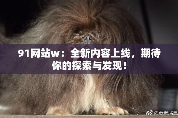 91网站w：全新内容上线，期待你的探索与发现！