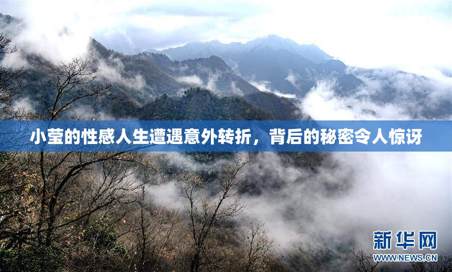 小莹的性感人生遭遇意外转折，背后的秘密令人惊讶