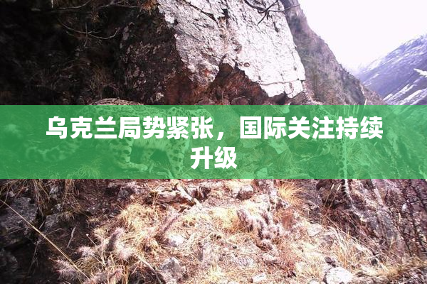 乌克兰局势紧张，国际关注持续升级