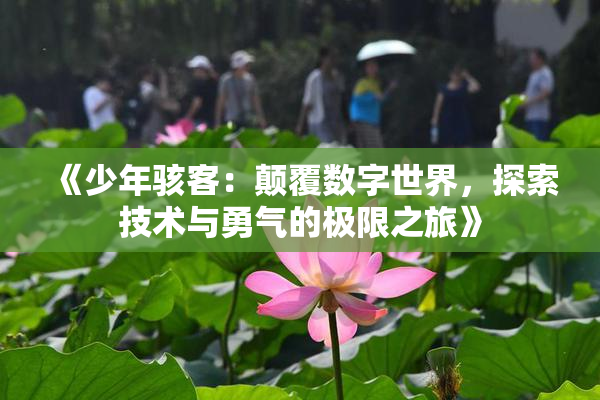 《少年骇客：颠覆数字世界，探索技术与勇气的极限之旅》