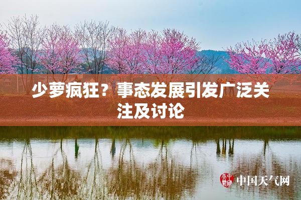 少萝疯狂？事态发展引发广泛关注及讨论