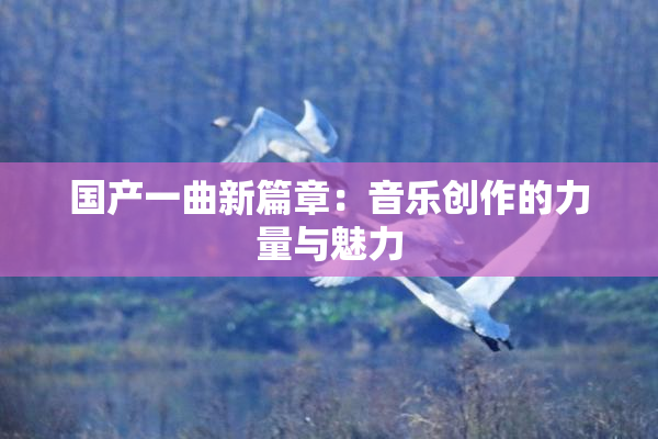 国产一曲新篇章：音乐创作的力量与魅力