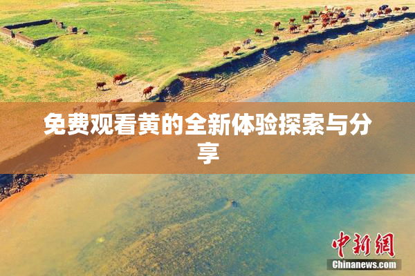 免费观看黄的全新体验探索与分享