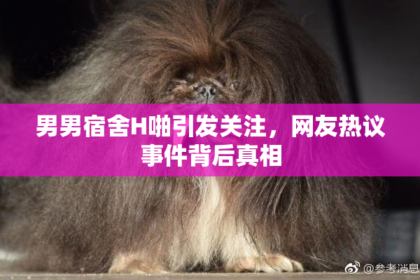 男男宿舍H啪引发关注，网友热议事件背后真相
