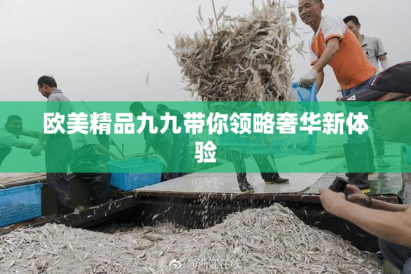 欧美精品九九带你领略奢华新体验