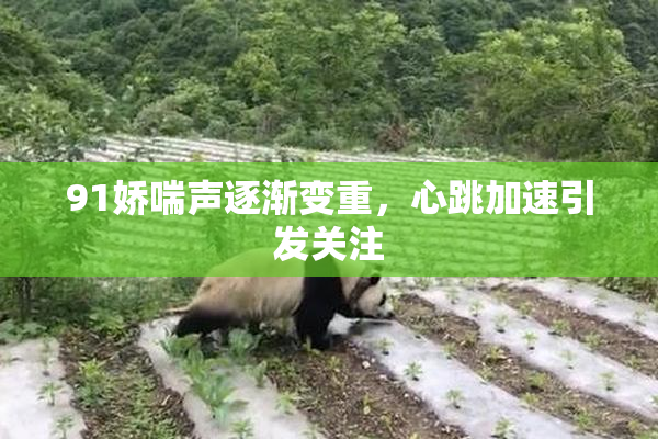 91娇喘声逐渐变重，心跳加速引发关注