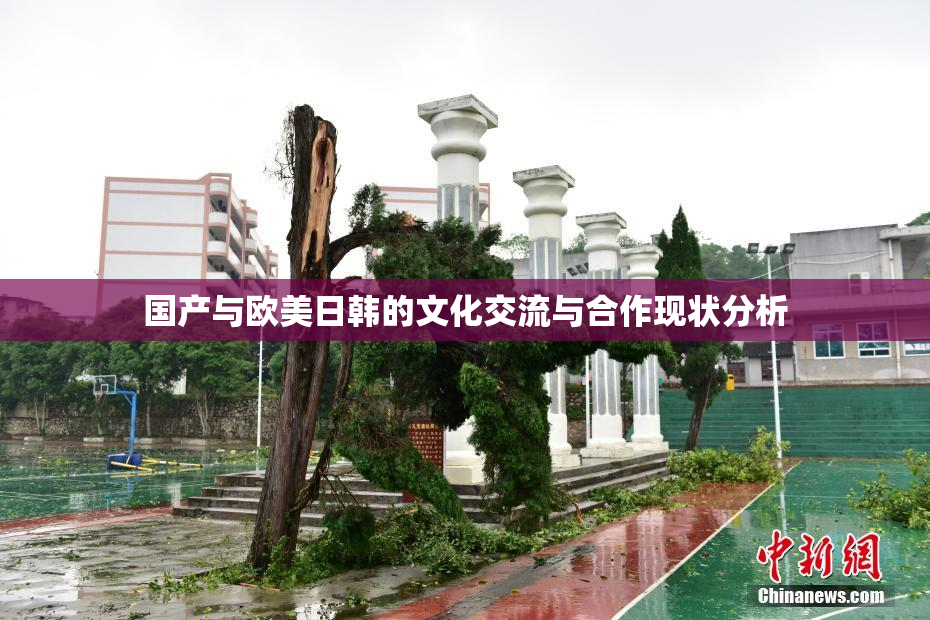 国产与欧美日韩的文化交流与合作现状分析