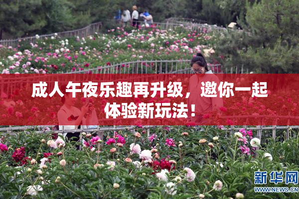成人午夜乐趣再升级，邀你一起体验新玩法！