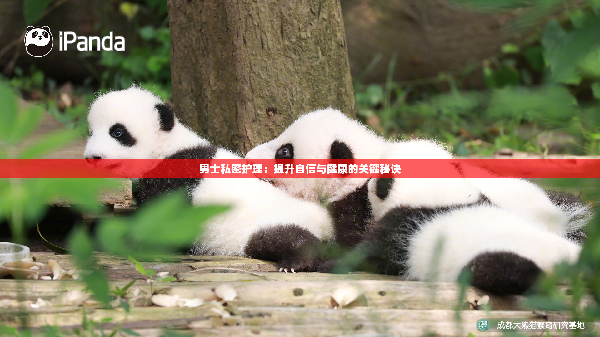 男士私密护理：提升自信与健康的关键秘诀