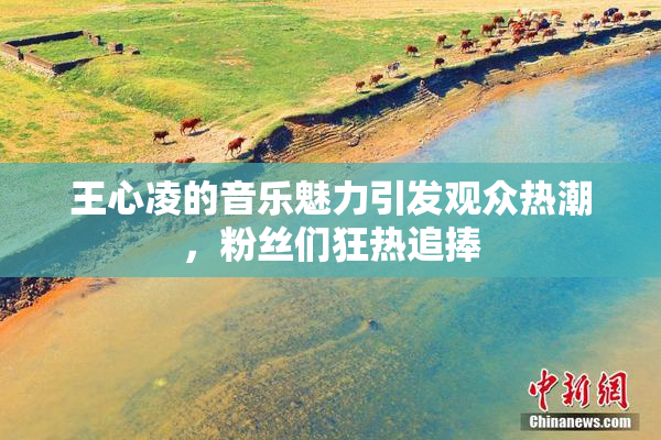 王心凌的音乐魅力引发观众热潮，粉丝们狂热追捧