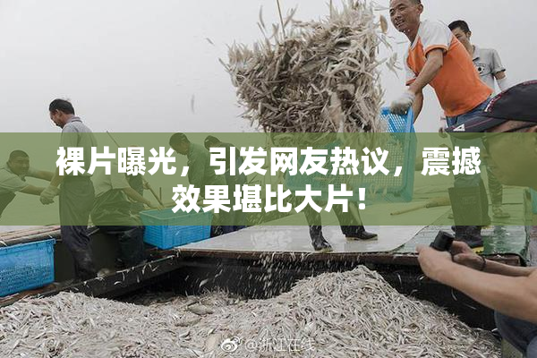 裸片曝光，引发网友热议，震撼效果堪比大片！