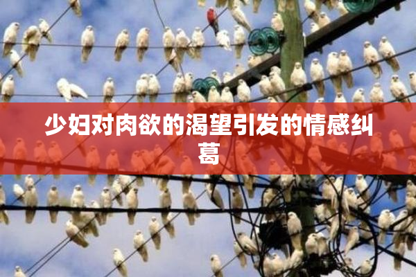 少妇对肉欲的渴望引发的情感纠葛