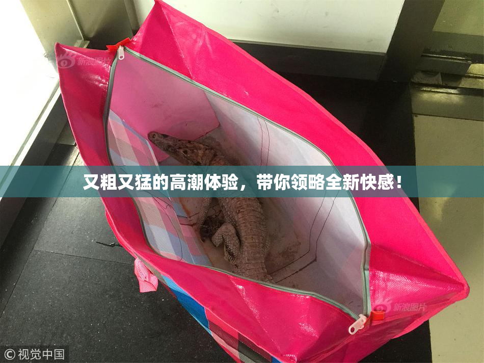 又粗又猛的高潮体验，带你领略全新快感！