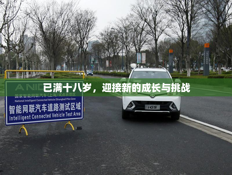 已满十八岁，迎接新的成长与挑战