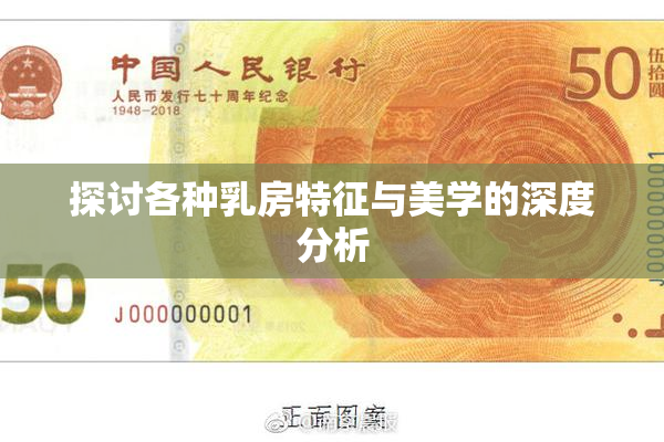 探讨各种乳房特征与美学的深度分析