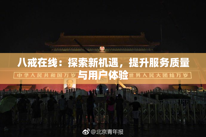 八戒在线：探索新机遇，提升服务质量与用户体验