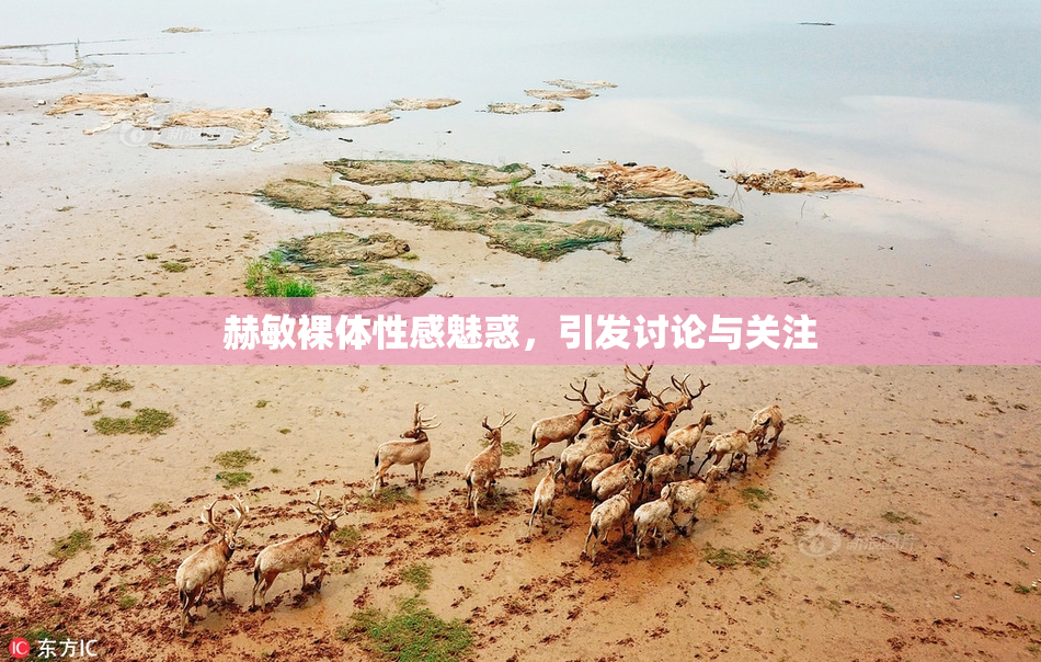 赫敏裸体性感魅惑，引发讨论与关注
