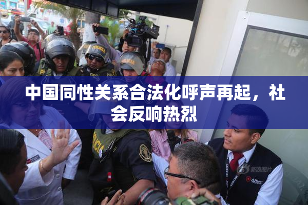 中国同性关系合法化呼声再起，社会反响热烈