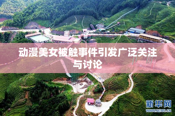 动漫美女被触事件引发广泛关注与讨论