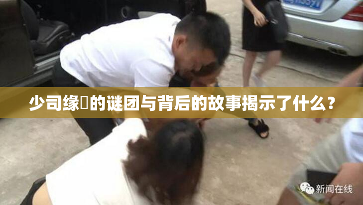 少司缘婬的谜团与背后的故事揭示了什么？