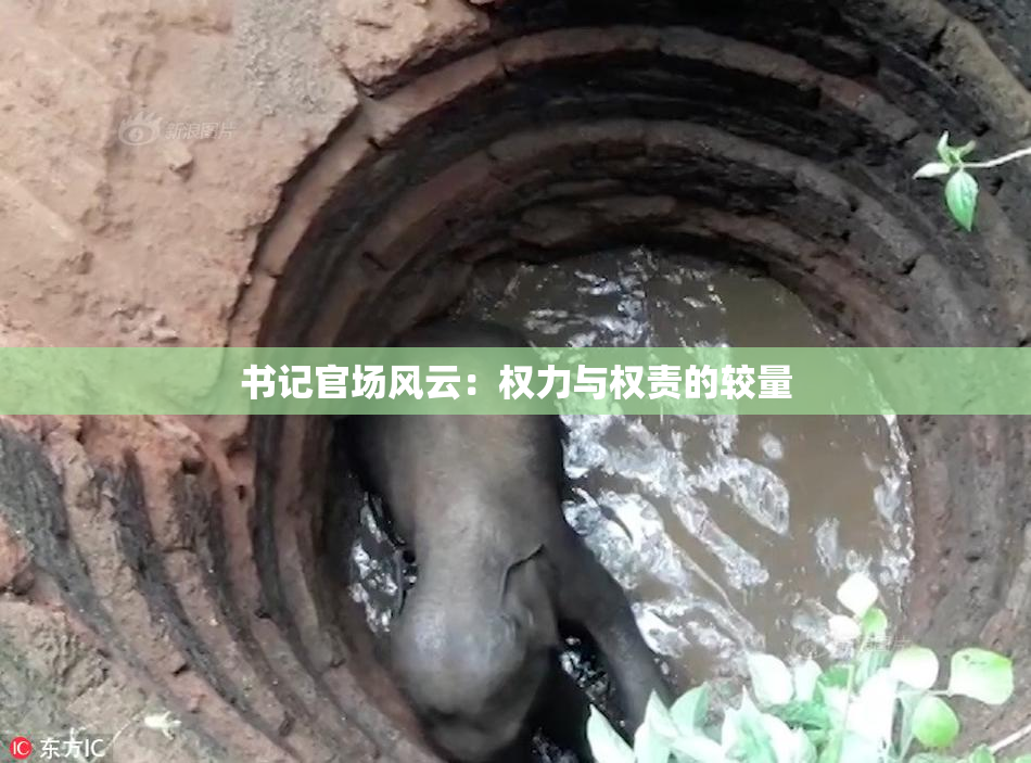 书记官场风云：权力与权责的较量