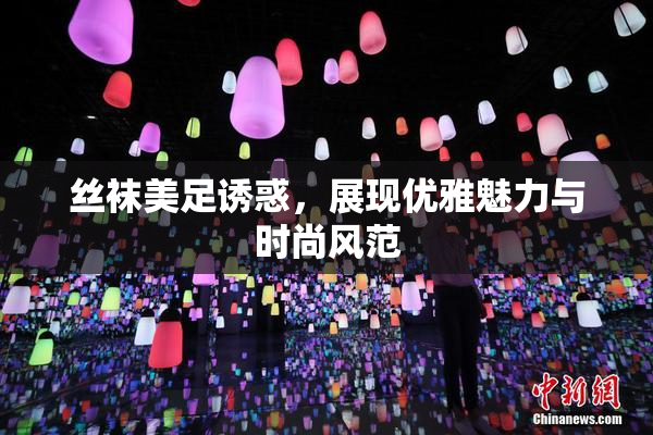 丝袜美足诱惑，展现优雅魅力与时尚风范