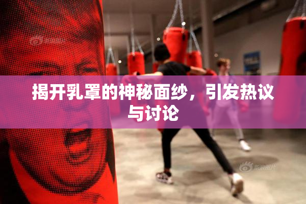 揭开乳罩的神秘面纱，引发热议与讨论