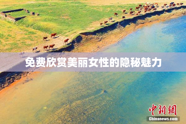 免费欣赏美丽女性的隐秘魅力