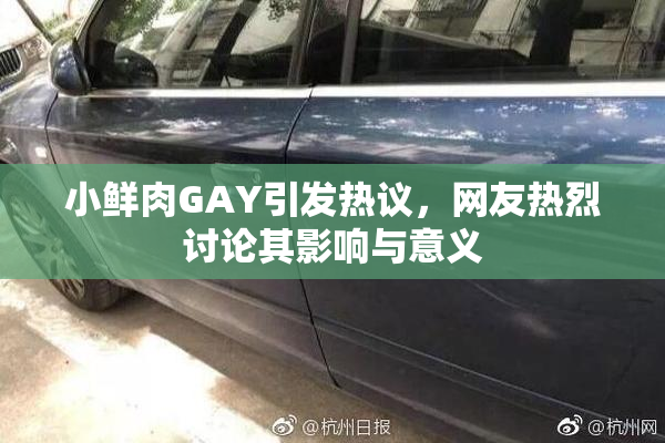 小鲜肉GAY引发热议，网友热烈讨论其影响与意义