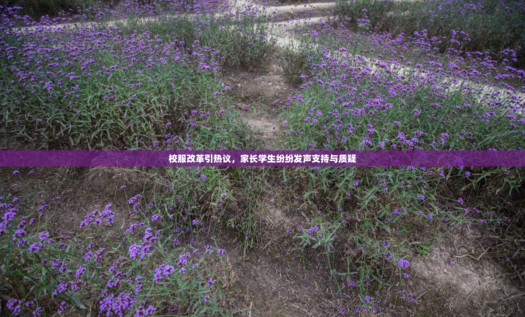 校服改革引热议，家长学生纷纷发声支持与质疑