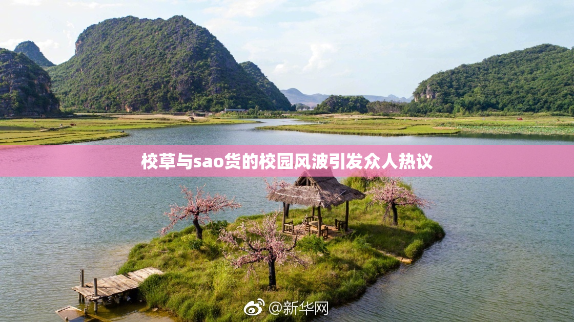 校草与sao货的校园风波引发众人热议