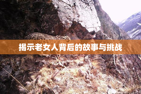 揭示老女人背后的故事与挑战