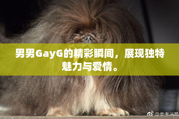 男男GayG的精彩瞬间，展现独特魅力与爱情。