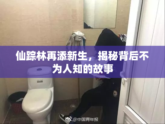 仙踪林再添新生，揭秘背后不为人知的故事