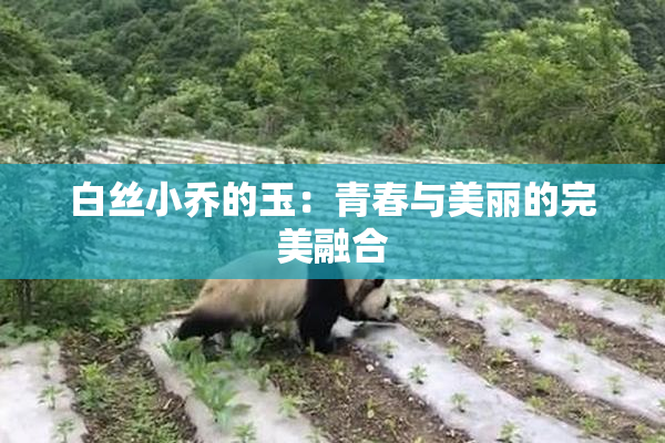 白丝小乔的玉：青春与美丽的完美融合