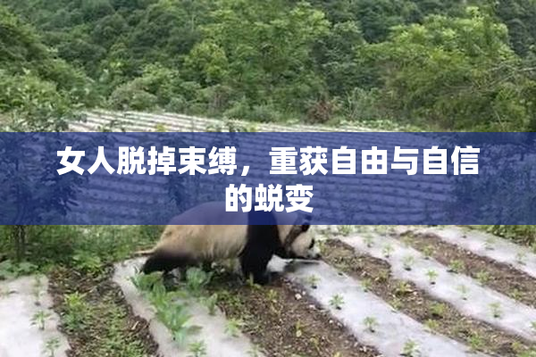 女人脱掉束缚，重获自由与自信的蜕变