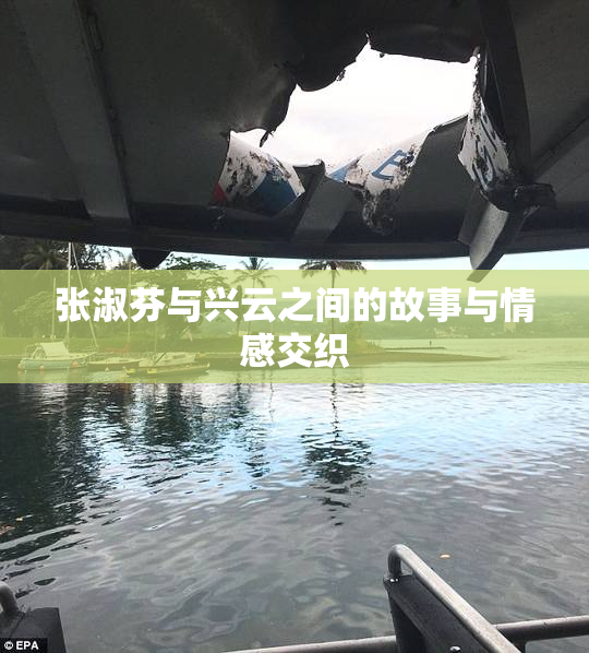 张淑芬与兴云之间的故事与情感交织