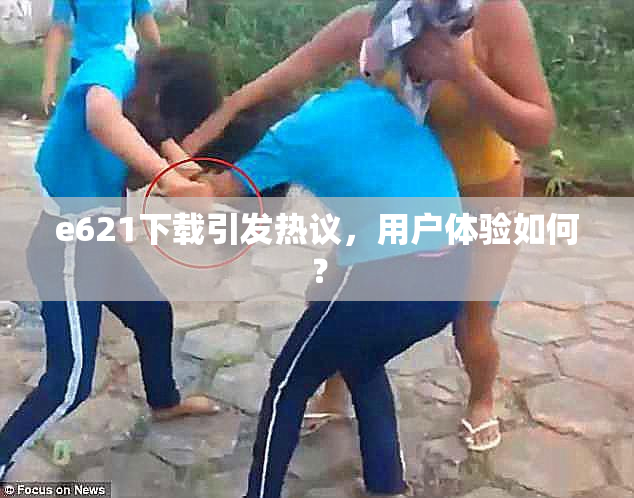 e621下载引发热议，用户体验如何？