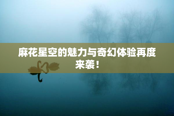 麻花星空的魅力与奇幻体验再度来袭！