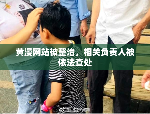 黄漫网站被整治，相关负责人被依法查处