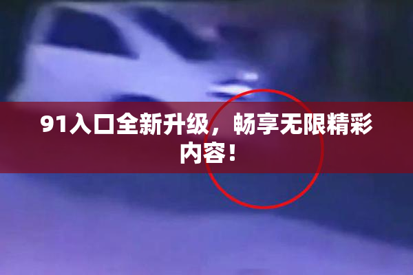91入口全新升级，畅享无限精彩内容！