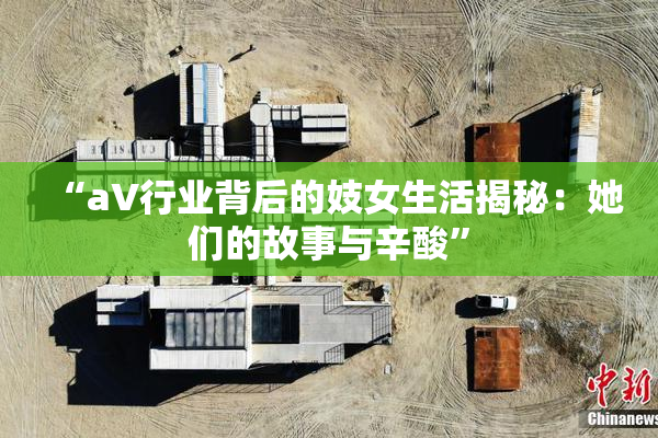 “aV行业背后的妓女生活揭秘：她们的故事与辛酸”