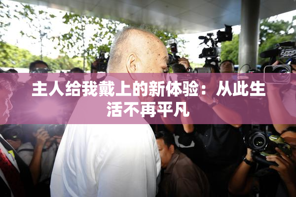 主人给我戴上的新体验：从此生活不再平凡