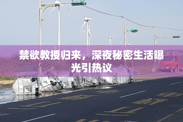 禁欲教授归来，深夜秘密生活曝光引热议