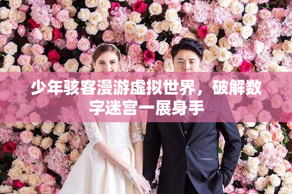 少年骇客漫游虚拟世界，破解数字迷宫一展身手