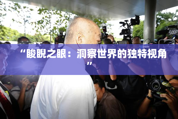 “睃睨之眼：洞察世界的独特视角”