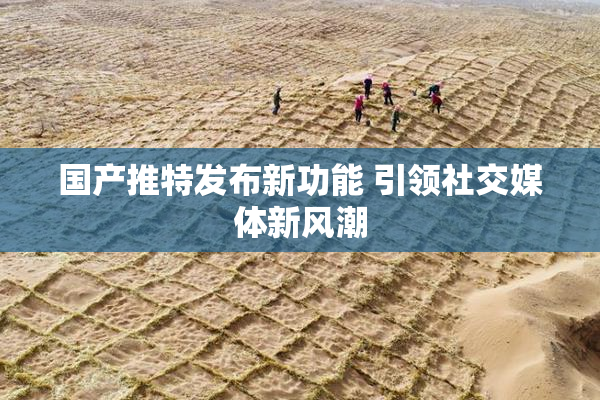国产推特发布新功能 引领社交媒体新风潮