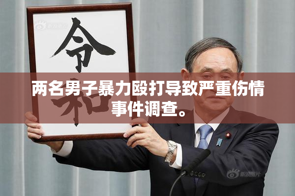 两名男子暴力殴打导致严重伤情事件调查。