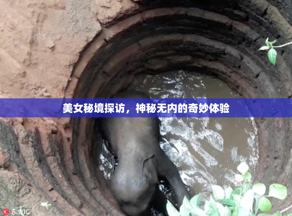 美女秘境探访，神秘无内的奇妙体验